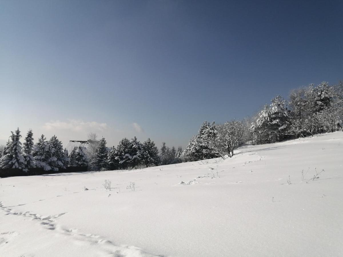 Goralska Ostoja Villa Pcim ภายนอก รูปภาพ