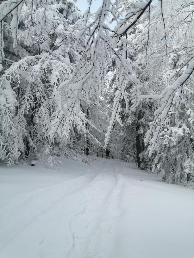 Goralska Ostoja Villa Pcim ภายนอก รูปภาพ